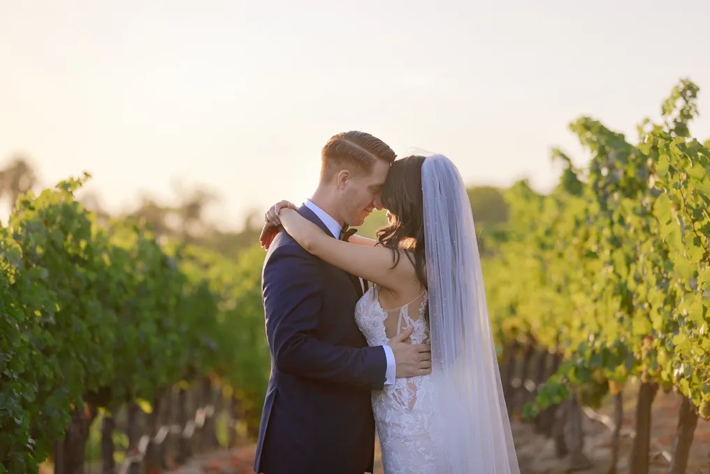 Falkner Winery #57