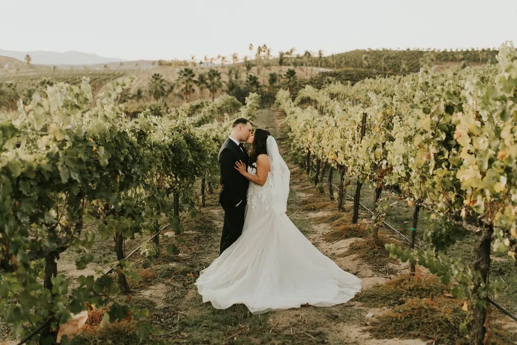 Falkner Winery #64