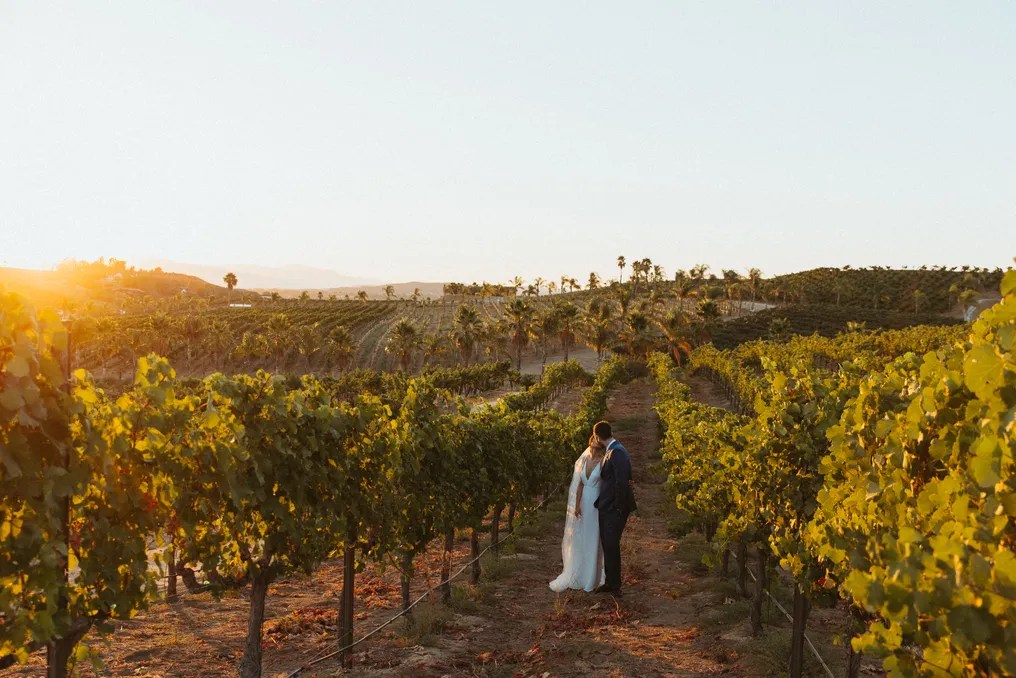 Falkner Winery #67