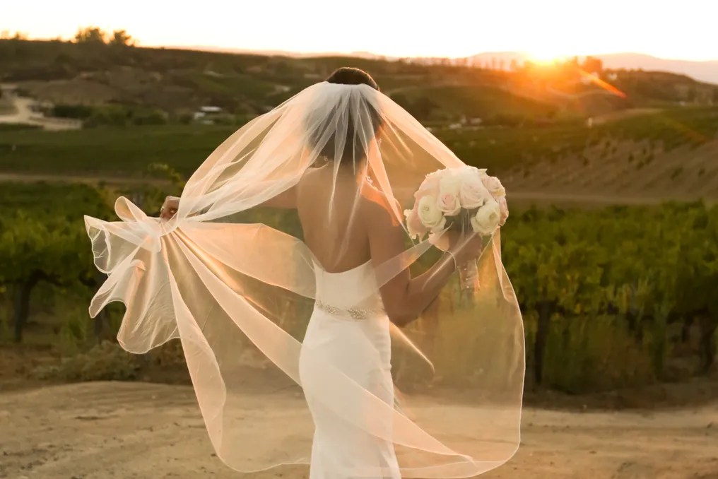 Falkner Winery #70