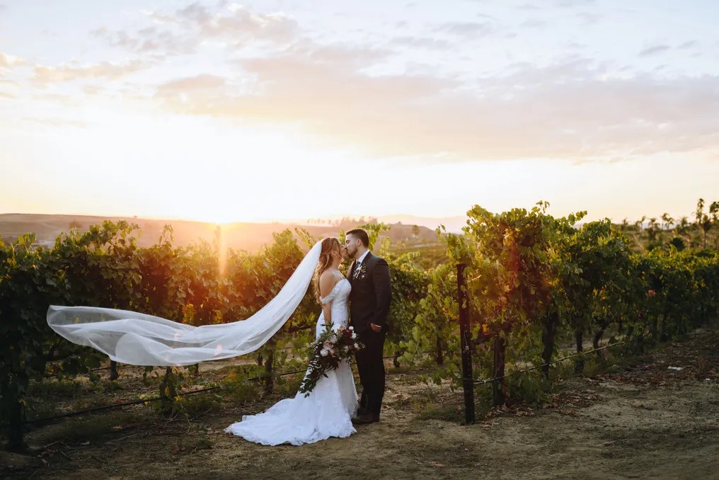 Falkner Winery #72