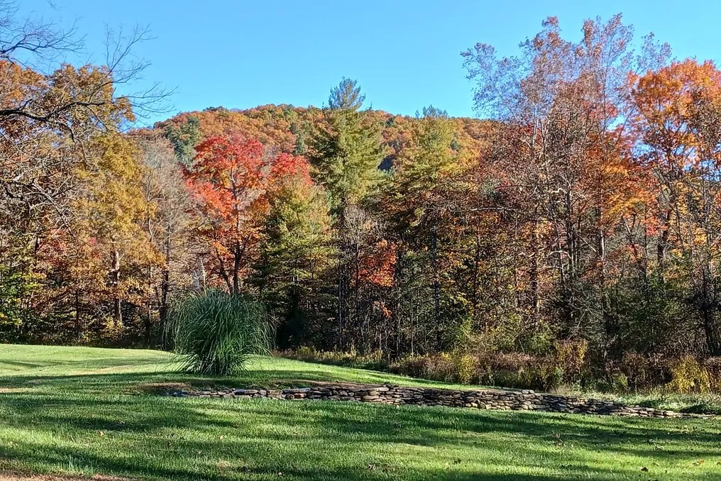 Stillwater Meadows #1