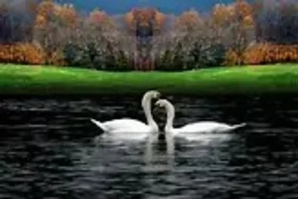 Stillwater Meadows #2