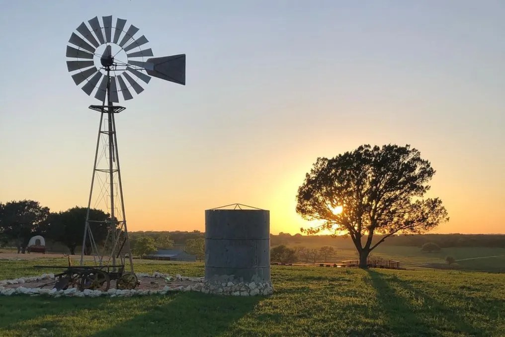 Wagon Springs Ranch #19
