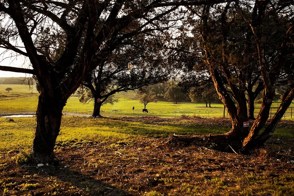Wagon Springs Ranch #36