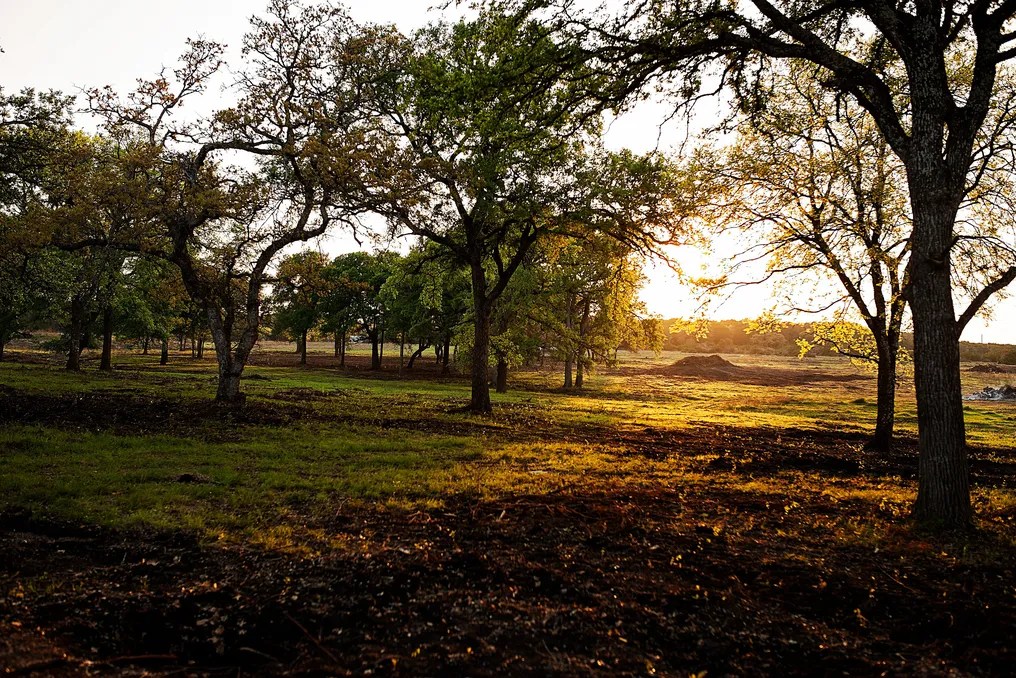 Wagon Springs Ranch #41