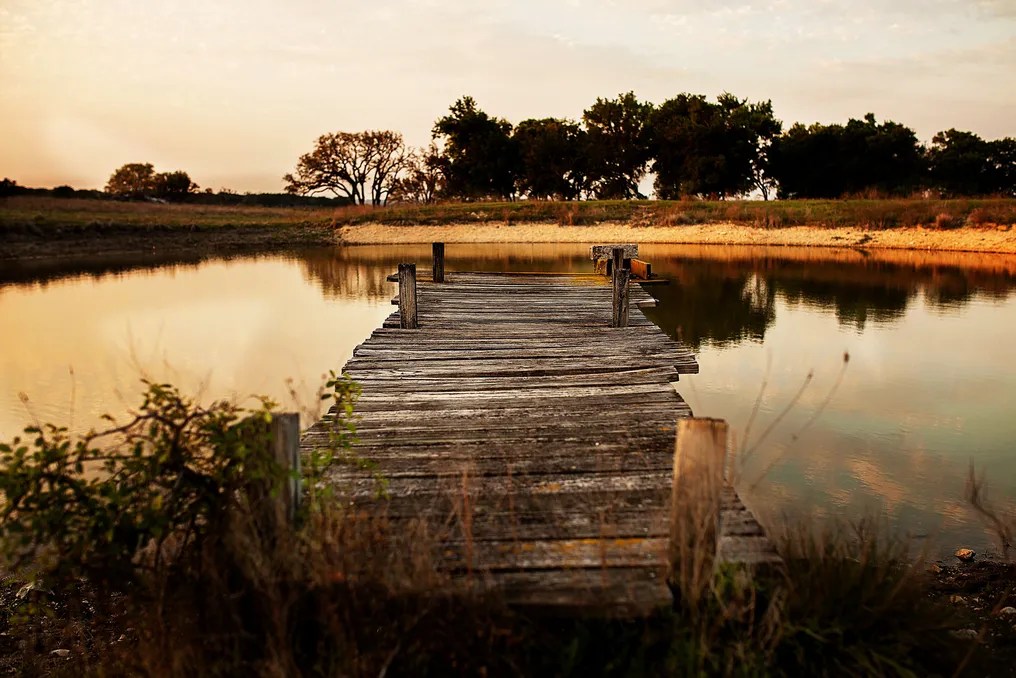 Wagon Springs Ranch #44