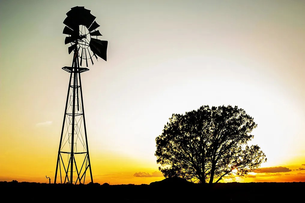 Wagon Springs Ranch #56