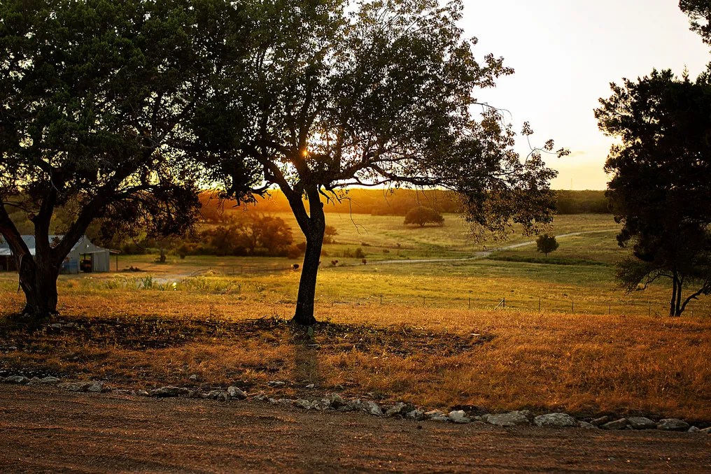 Wagon Springs Ranch #57