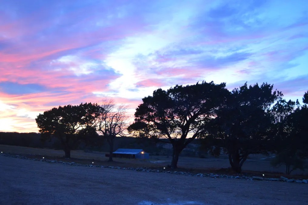 Wagon Springs Ranch #61
