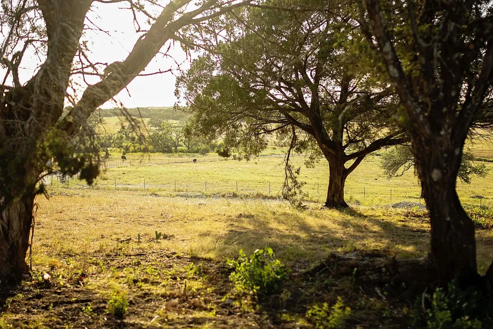 Wagon Springs Ranch #62