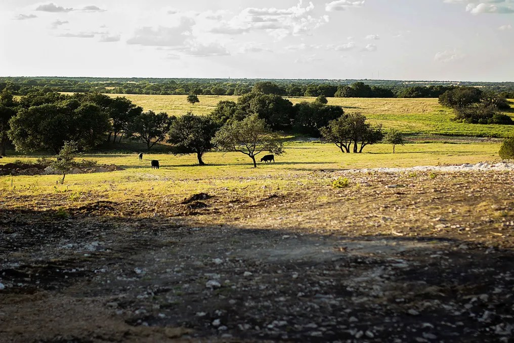Wagon Springs Ranch #63