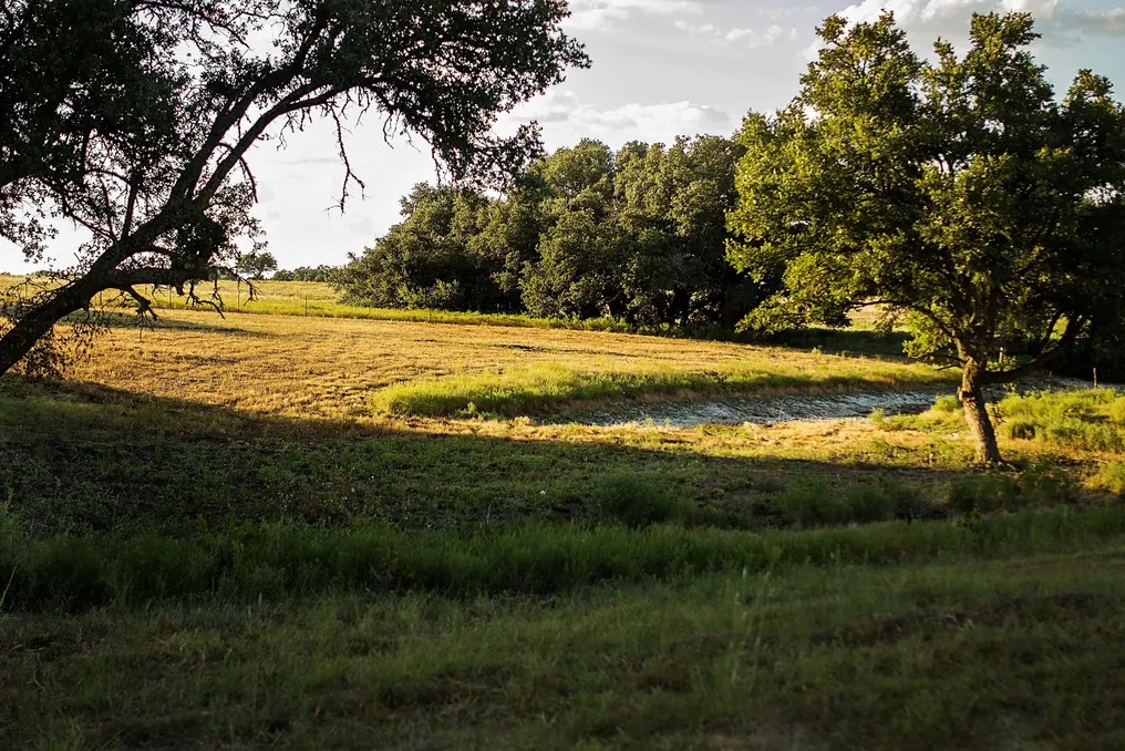 Wagon Springs Ranch #68