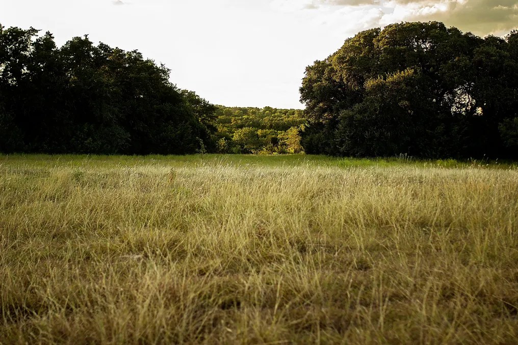 Wagon Springs Ranch #72
