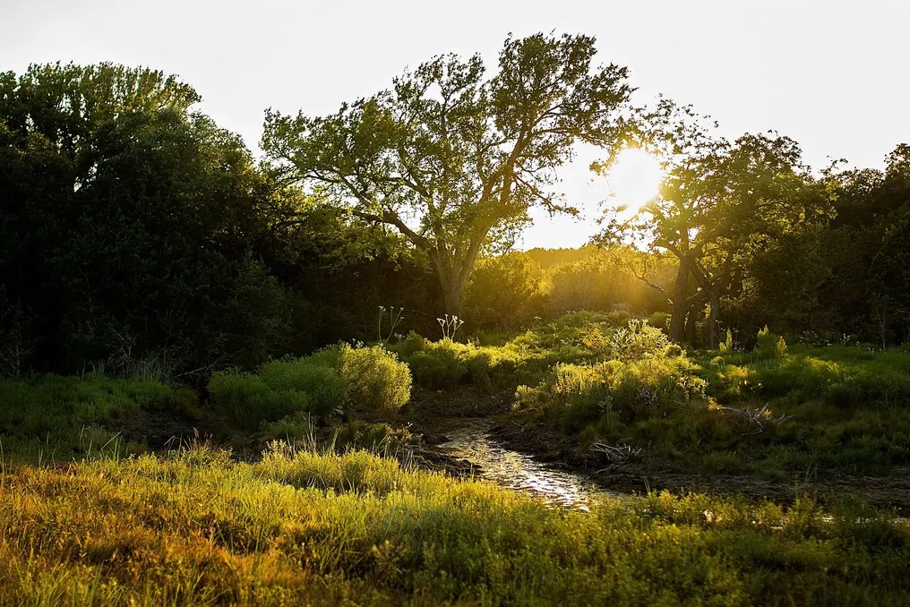 Wagon Springs Ranch #73