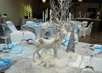 Mahogany Moon Event Center #1