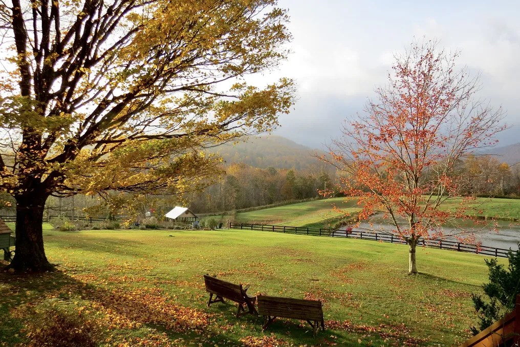 Cedarmere In The Blue Ridge #3