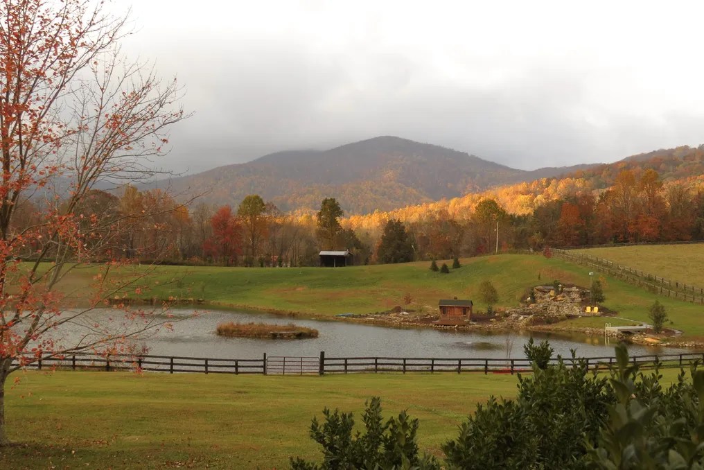 Cedarmere In The Blue Ridge #5