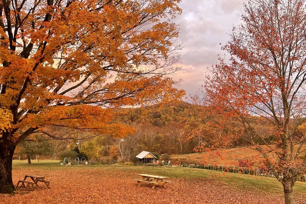 Cedarmere In The Blue Ridge #7