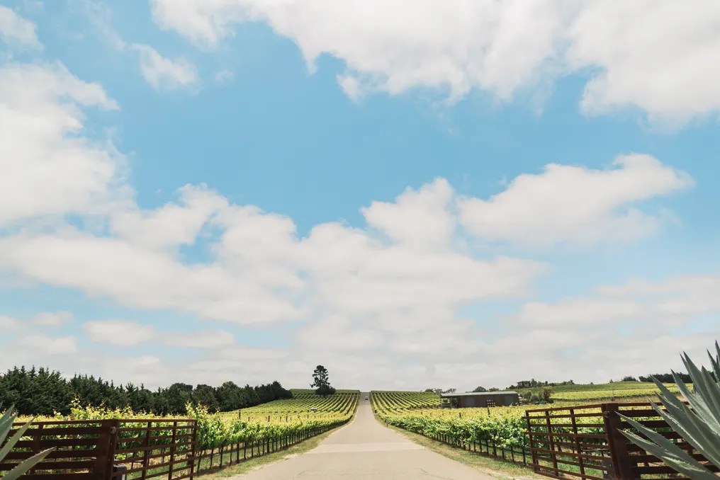 Presqu'ile Winery #10