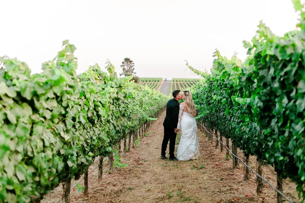 Presqu'ile Winery #32