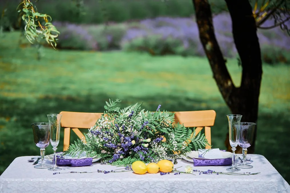 Castle Rock Lavender #7