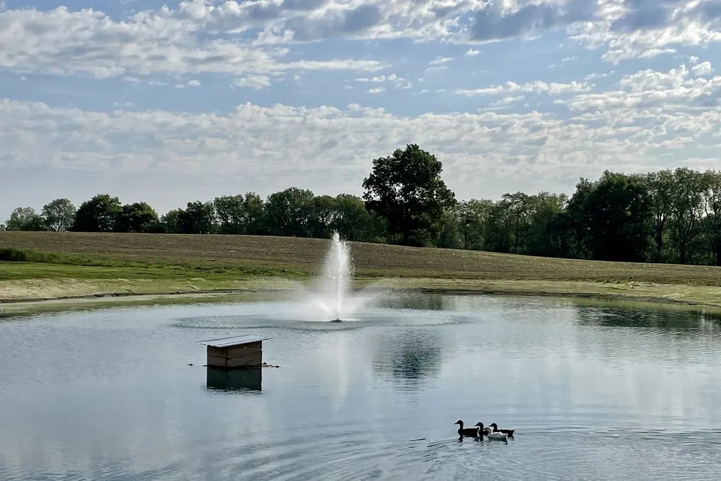 Stonegate Farm #17