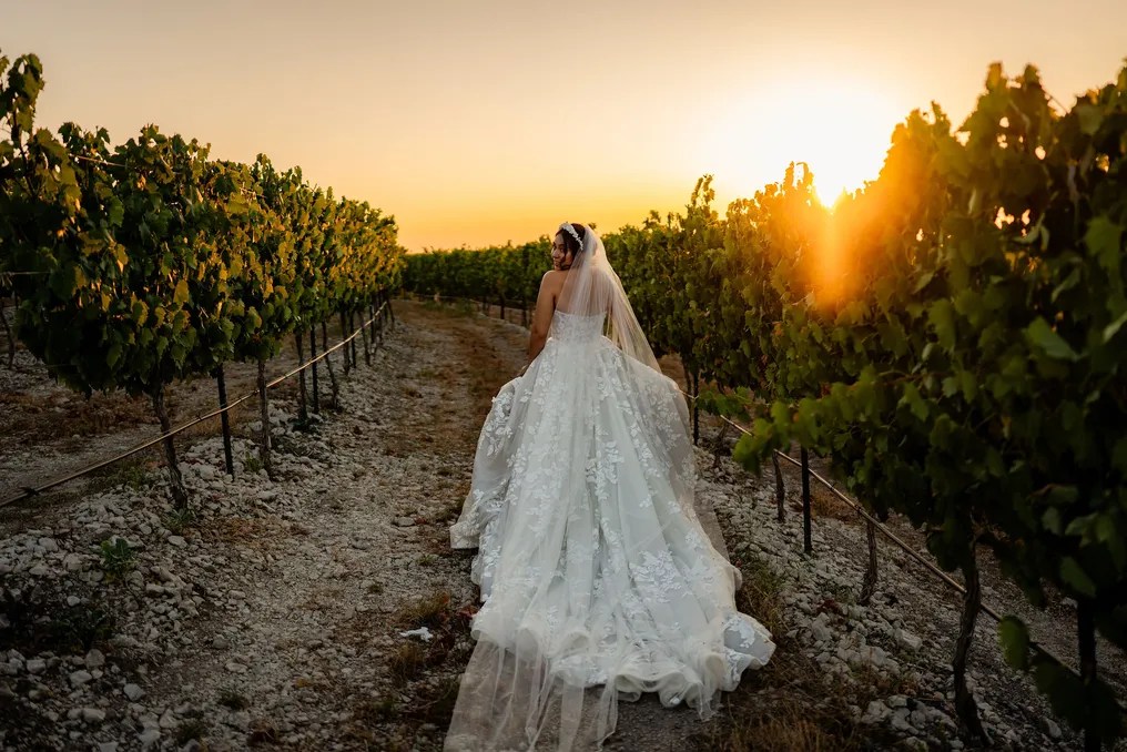 Dove Ridge Vineyard #1