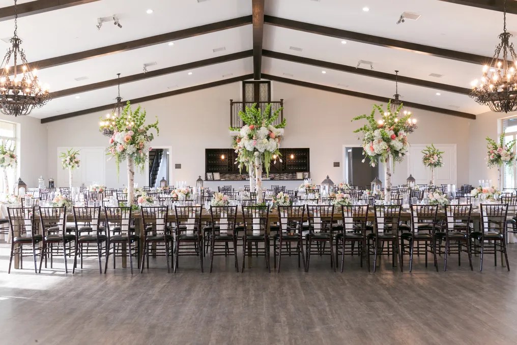 Dove Ridge Vineyard #83