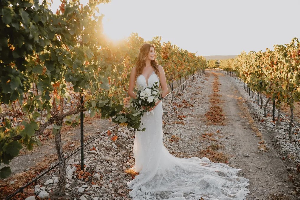 Dove Ridge Vineyard #111