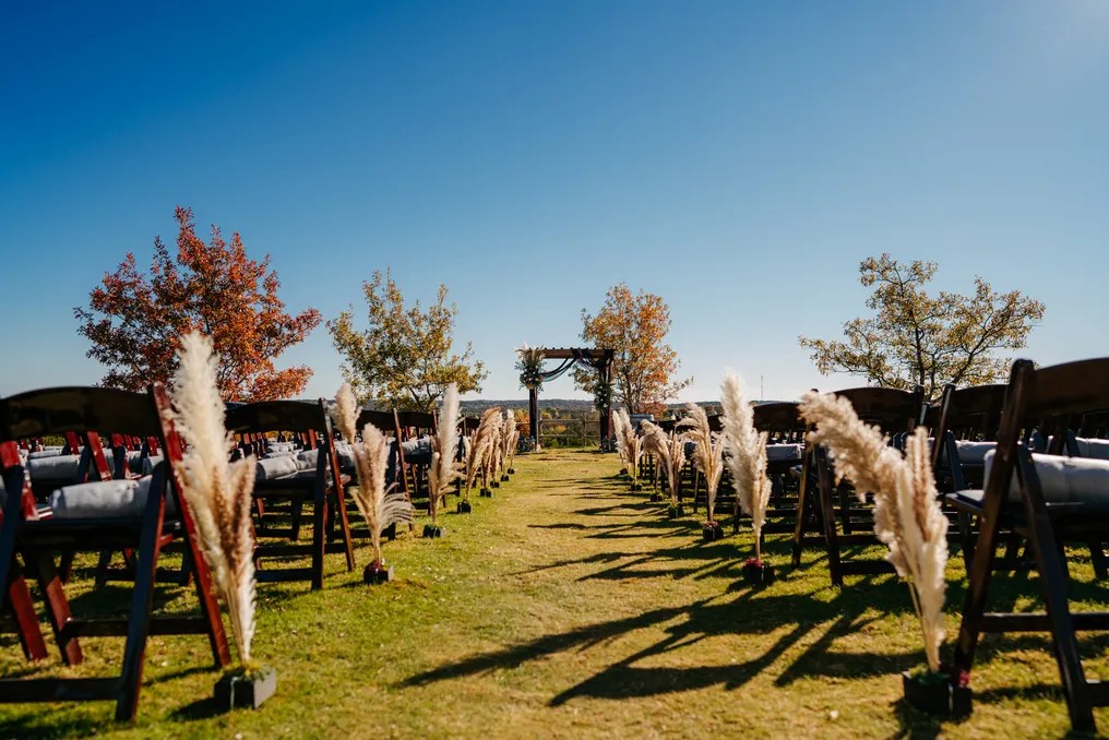 Dove Ridge Vineyard #153