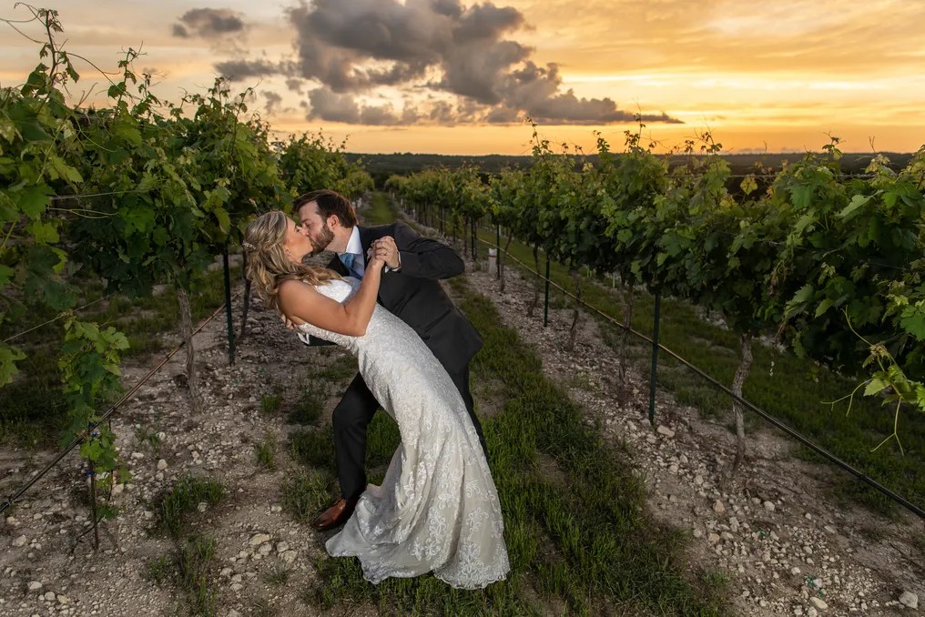 Dove Ridge Vineyard #162