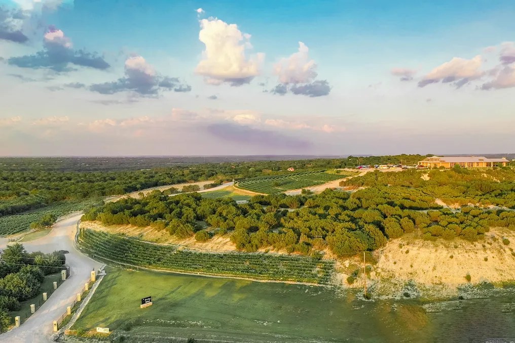 Dove Ridge Vineyard #205