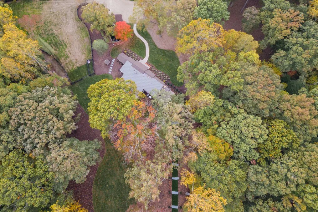 The Hidden Oaks #54