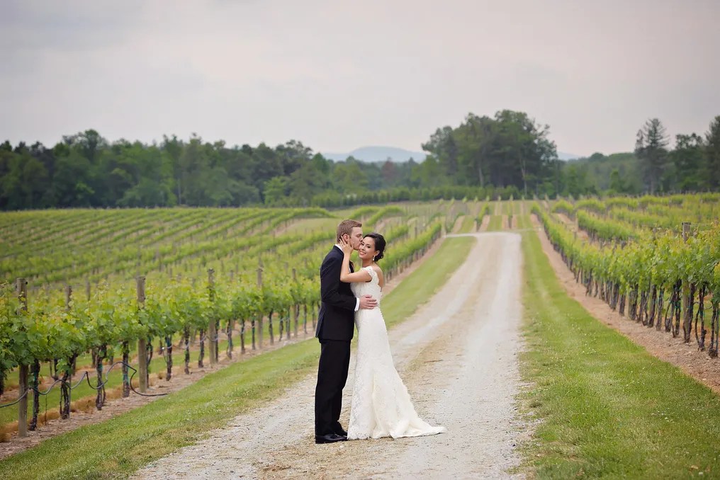 Burntshirt Vineyards #14