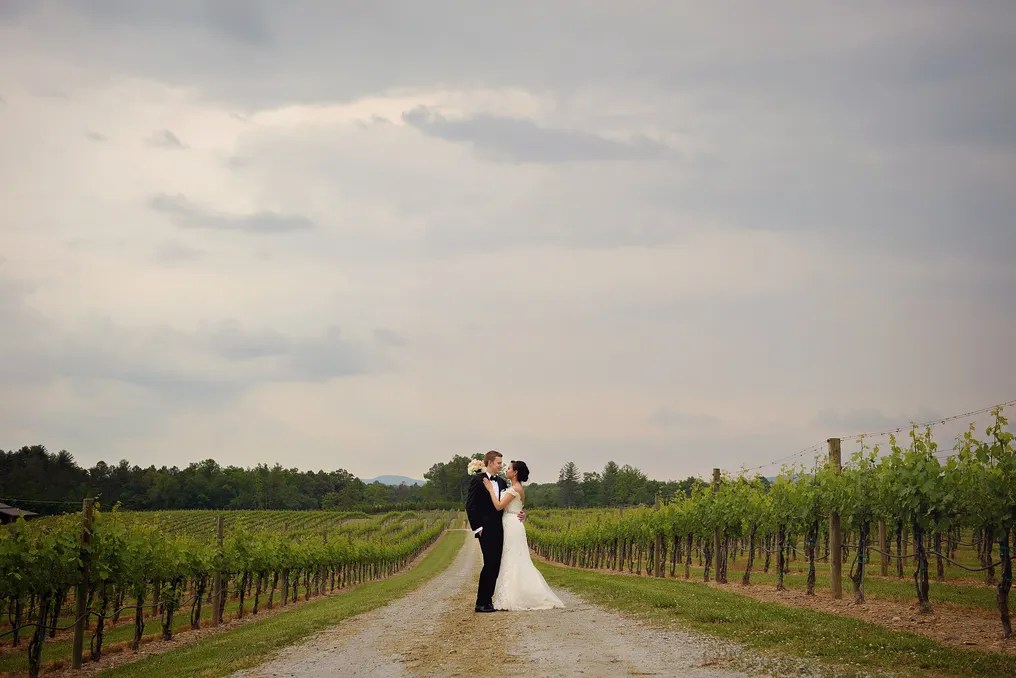 Burntshirt Vineyards #15