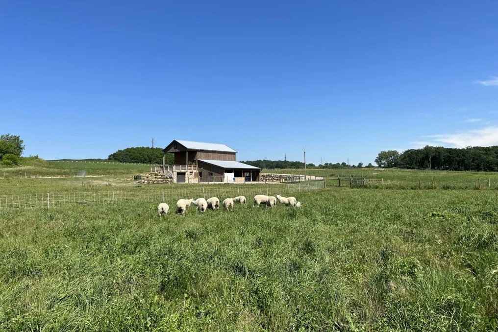 Four Winds Farm #12