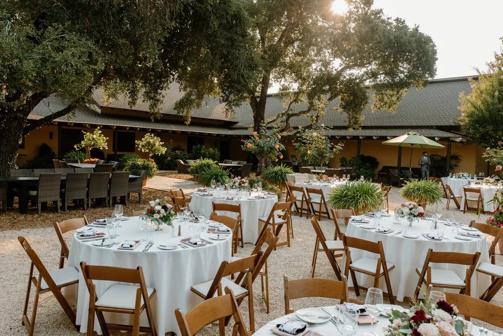 Landmark Vineyards #7
