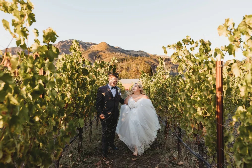 Landmark Vineyards #9