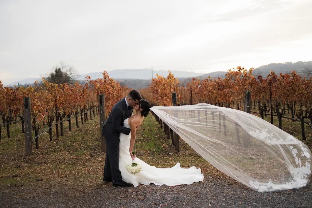 Landmark Vineyards #11