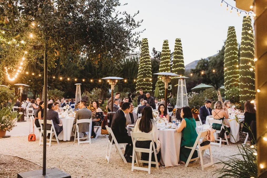 Landmark Vineyards #14