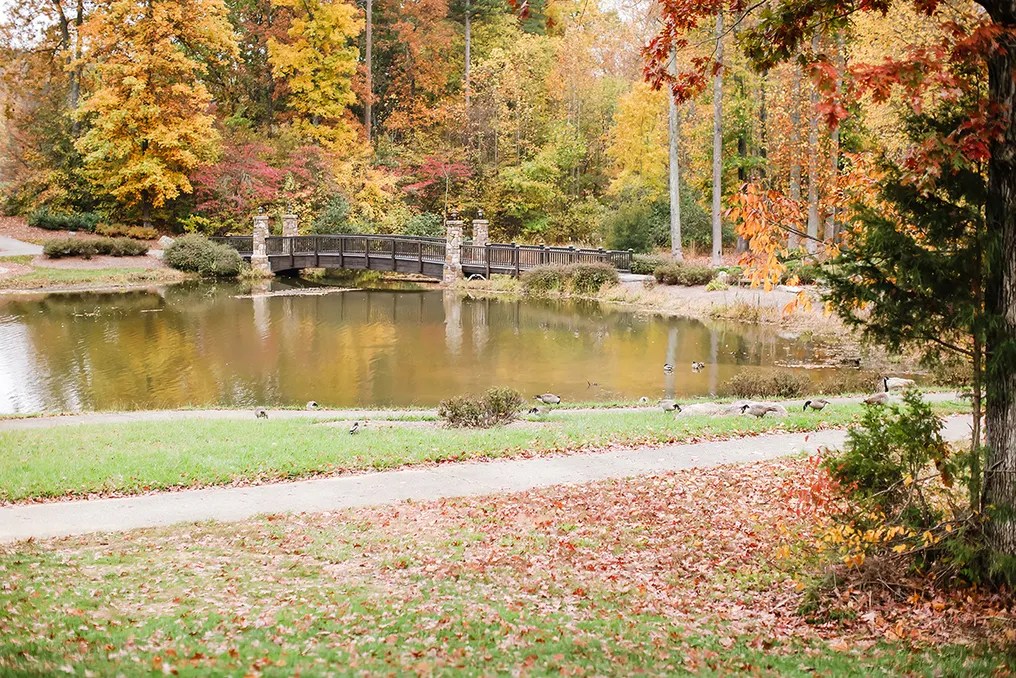 The Blue Heron Event Venue #14