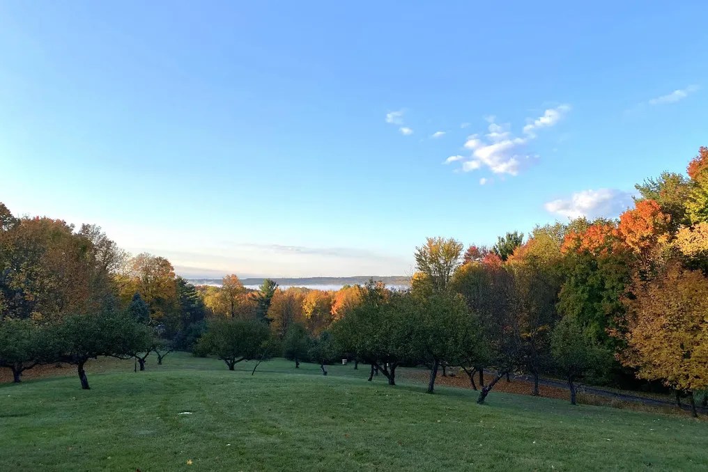 Vista Manor Event Venue #10