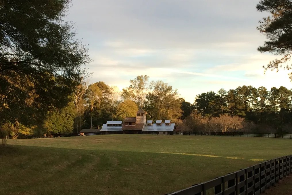 Cherry Hollow Farm #51