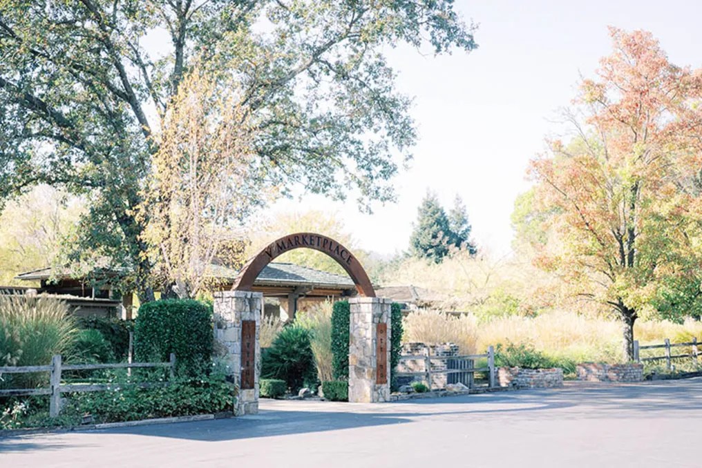 The Estate Yountville #14