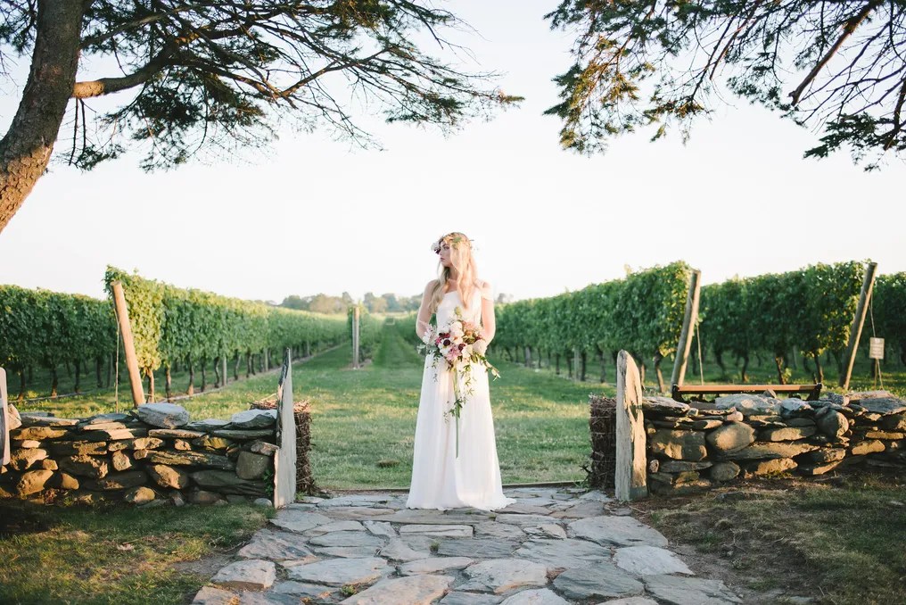 Newport Vineyards #15