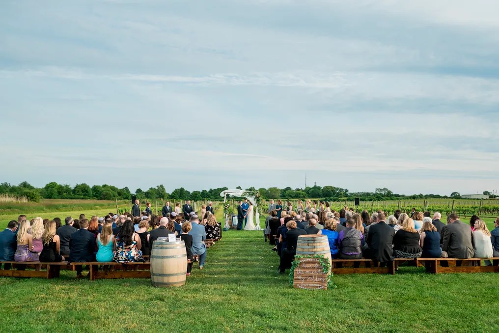 Newport Vineyards #19