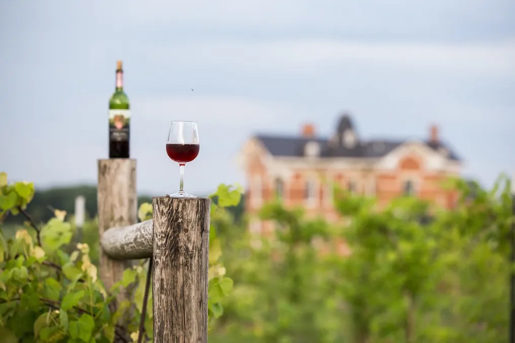 Buchanan House Winery #18