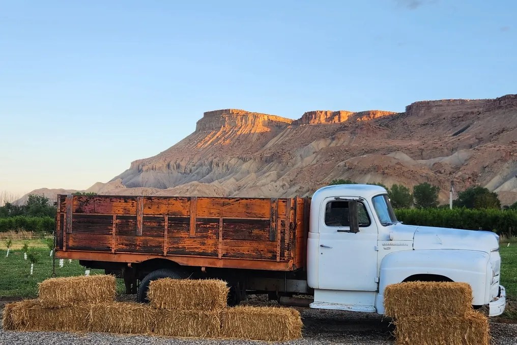Palisade Orchard Weddings #2