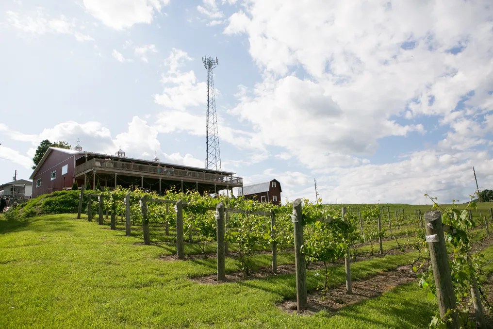 The Vineyard and Brewery at Hershey #1